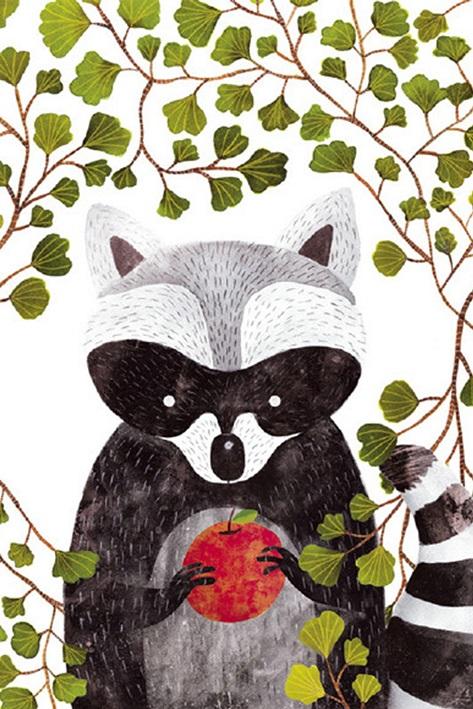 

Raccoon and Apples – Paint By Numbers - 40*50CM, 501 Original
