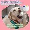 Gioiacombo&trade; Giocattolo per cani con palla rimbalzante molare morso