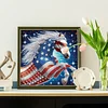 Diamond Painting-DIY Crystal Rhinestone Flag Horse