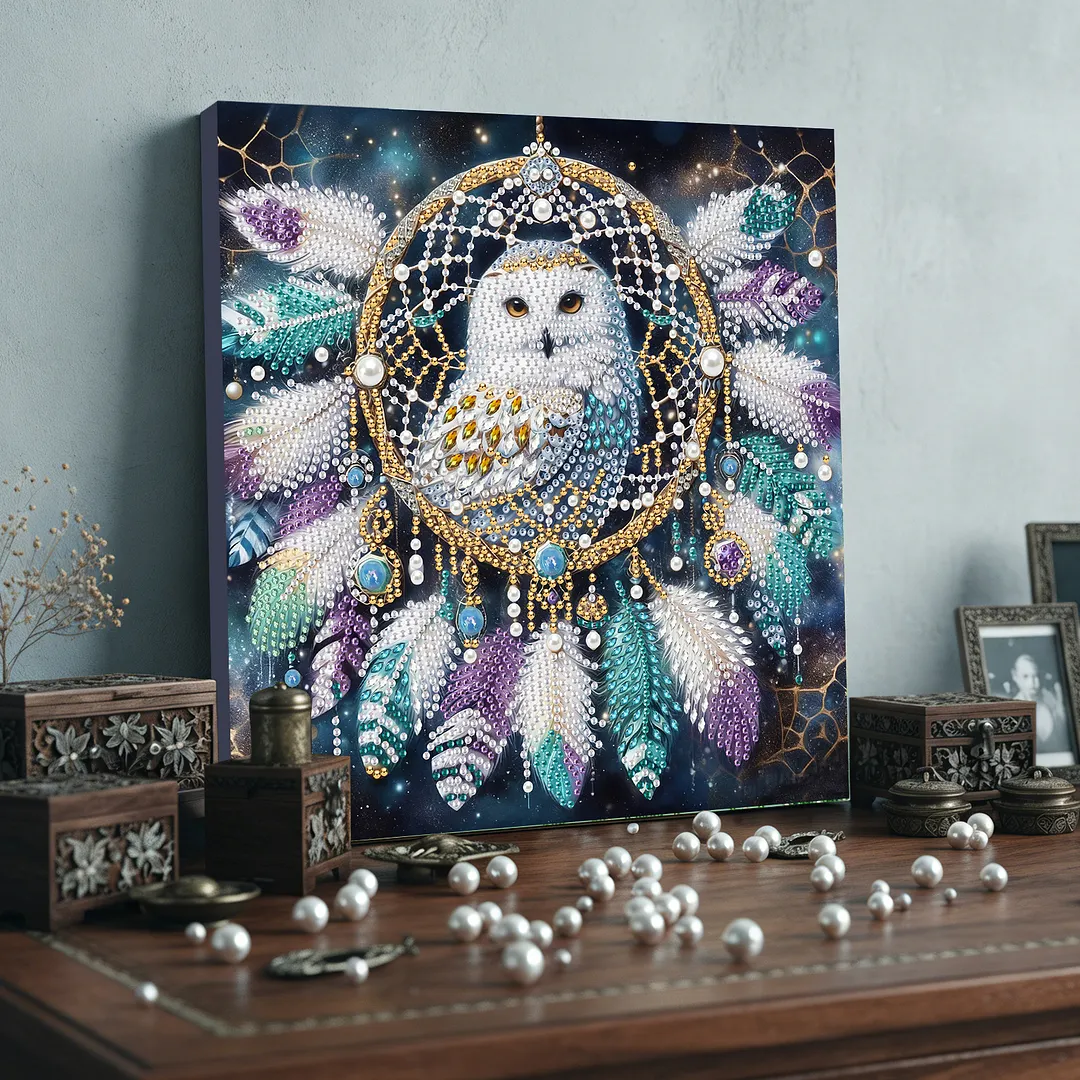 Owl Dreamcatcher DIY Art Craft Pearl Diamond Painting with Frame 9.84x9.84in Diamond Art Pearl Painting Kit for Adults Beginners Gift Idea Home Wall Decor