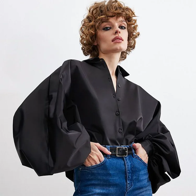 Niche Solid Color Lantern Sleeve Blouse