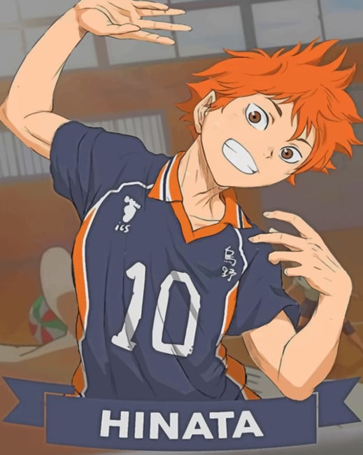 

Hinata Haikyuu – Paint By Numbers - 40*50CM, 501 Original