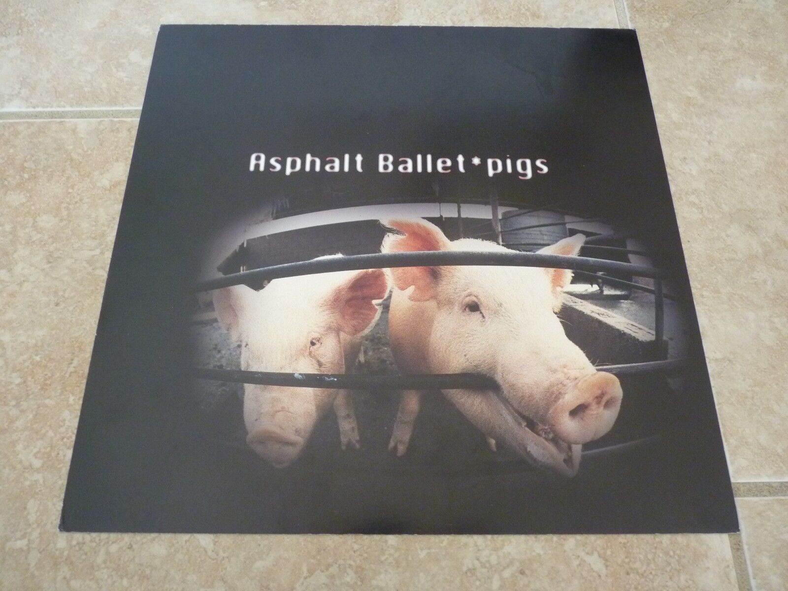 Asphalt Ballet Pigs 1993 Promo LP Record Photo Poster painting Flat 12x12 Poster