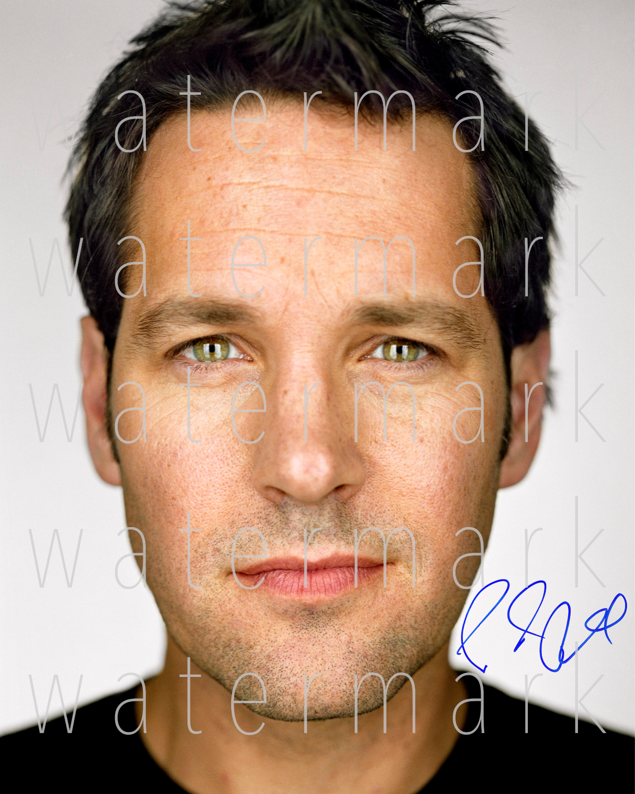 Paul Rudd sexy Ant Man Avengers signed 8X10 print poster Photo Poster painting autograph RP