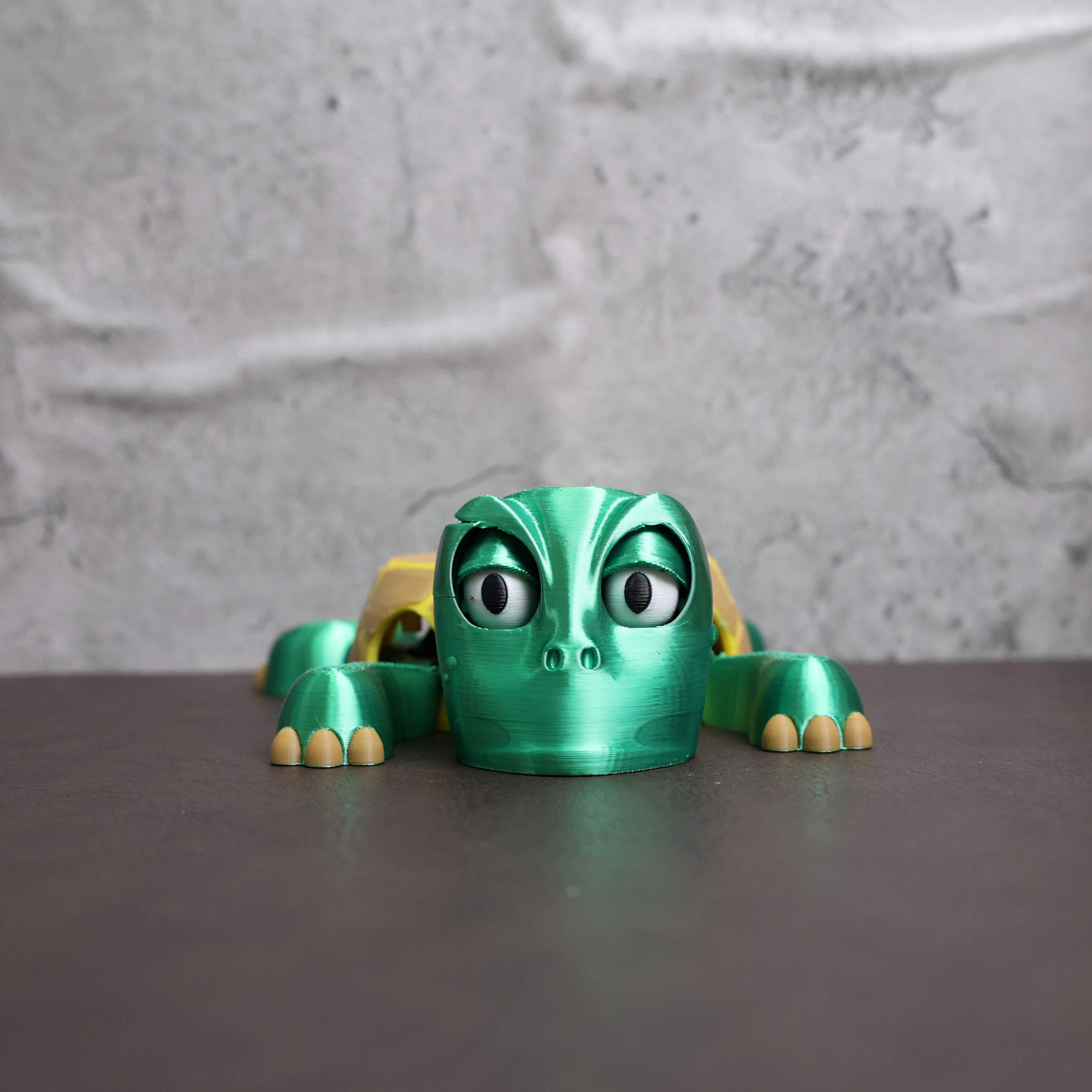 Turtle Coaster