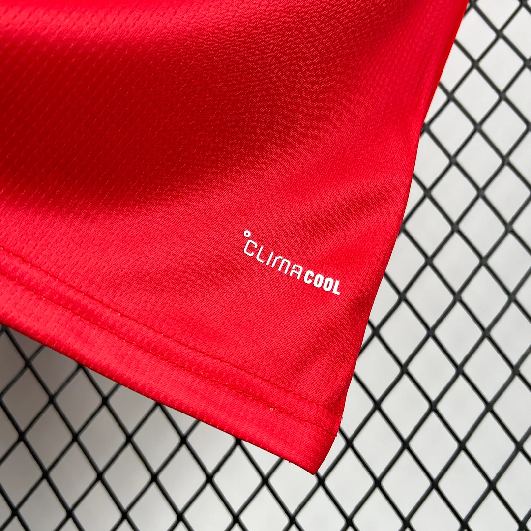 2026 Wales Home Footaball Shirt Thai Quality  