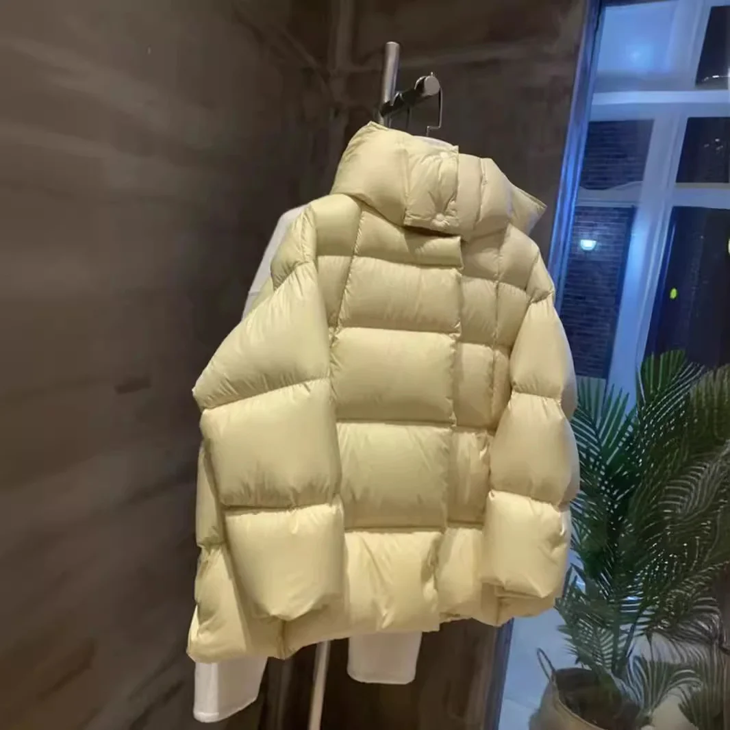 Toloer Advanced Sense Plus 90 White Duck Down Down Jacket Female 2024 Autumn And Winter New Short Hoodie Station Loose Coat Tide-Outfit Ideas