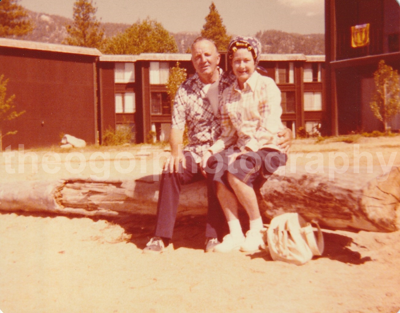 Man On A Log With A Woman In Curlers FOUND Photo Poster paintingGRAPH Color22 35