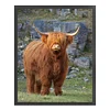 Highland Cow-11CT Stamped Cross Stitch 40*50cm