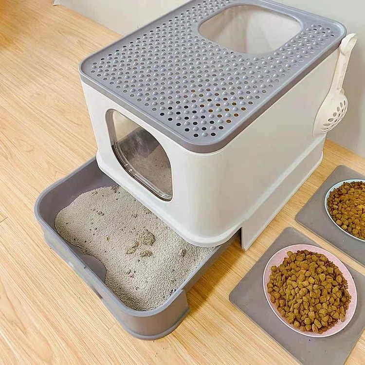 cat litter