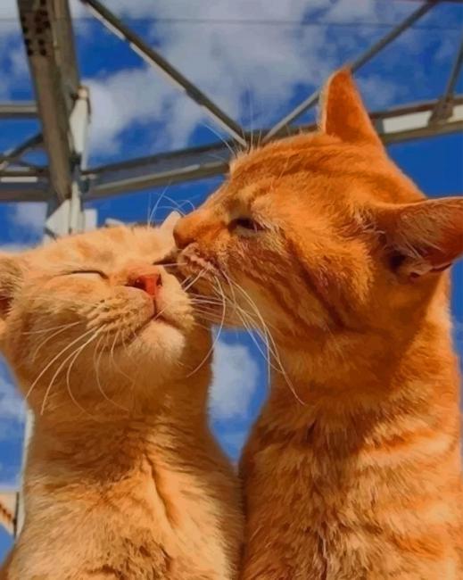 

Cats Kissing – Paint By Numbers - 40*50CM, 501 Original