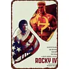 Boxing - Vintage Metal Signs - 20*30cm/30*40cm