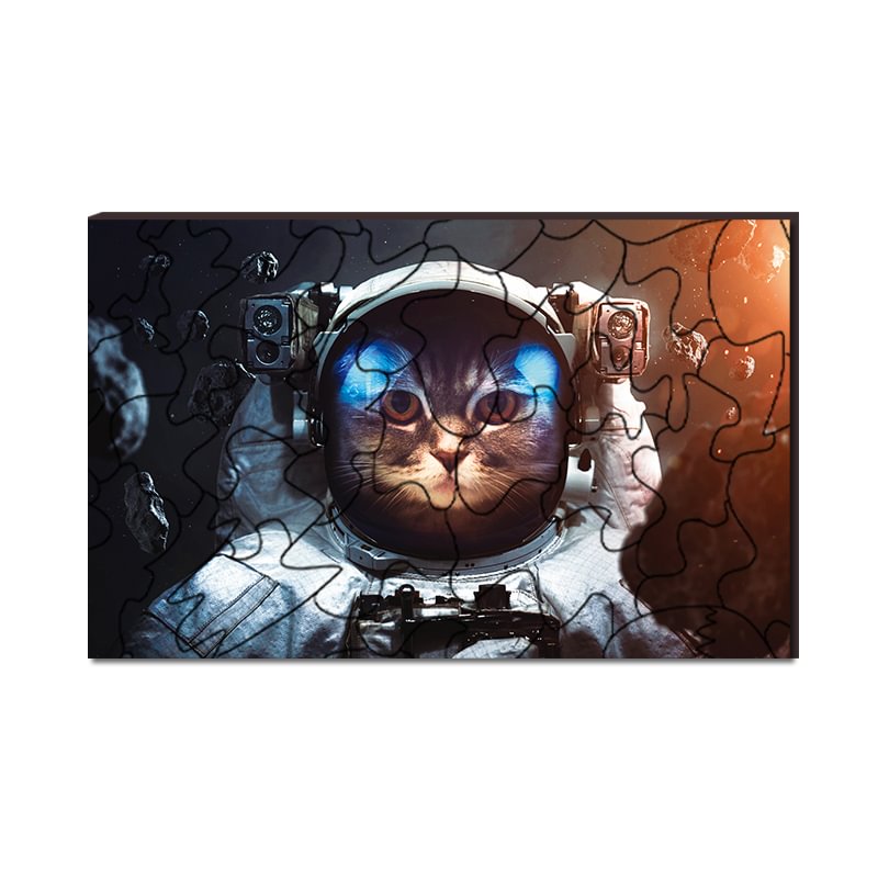 Jeffpuzzle™-JEFFPUZZLE™ Space Cat Wooden  Puzzle