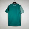 2023/2024 Werder Bremen Home Football Shirt 1:1 Thai Quality