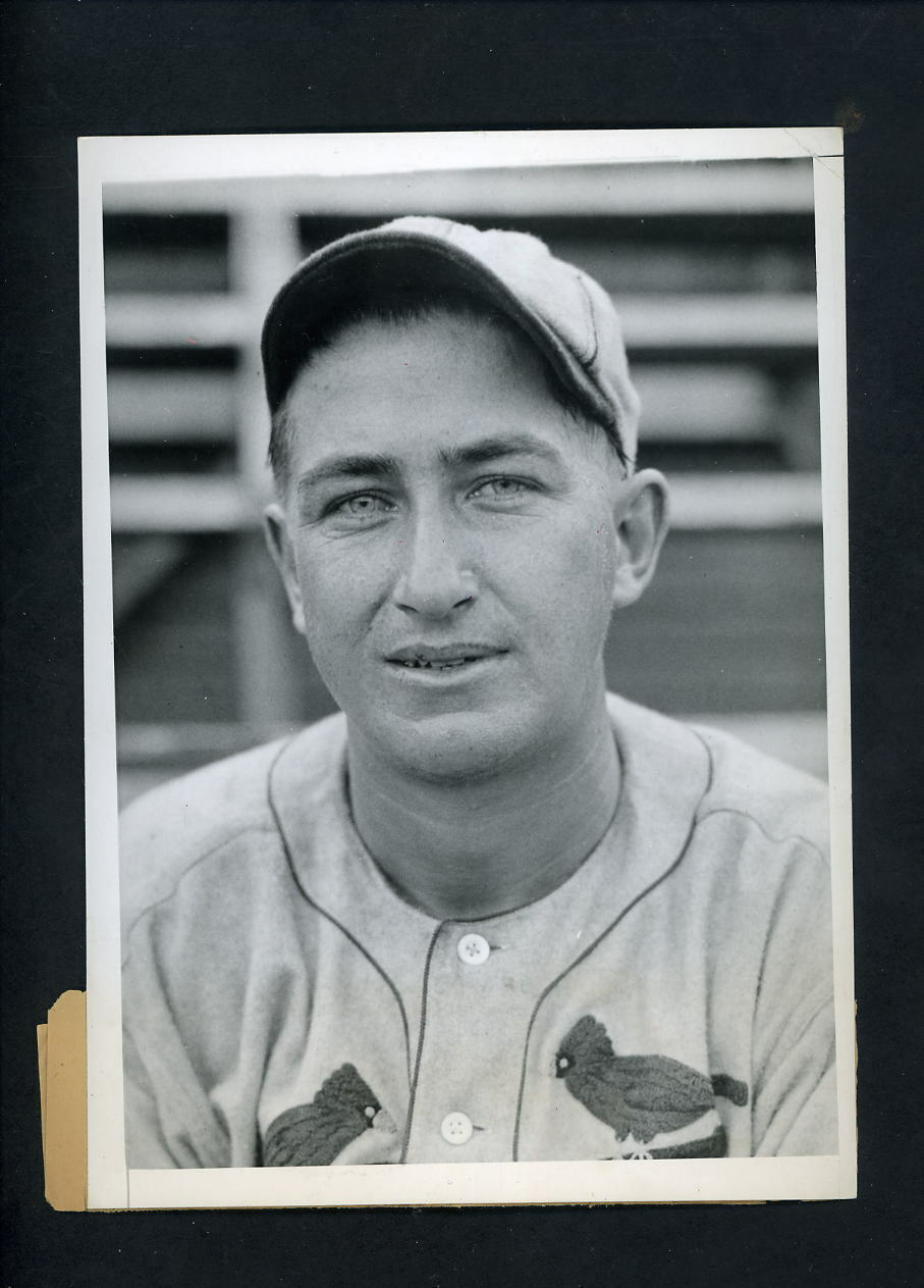 Bill DeLancey rookie catcher 1934 Type 1 Press Photo Poster painting St. Louis Cardinals