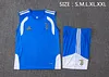 Joyfball 2026/2027 Juventus Vest blue