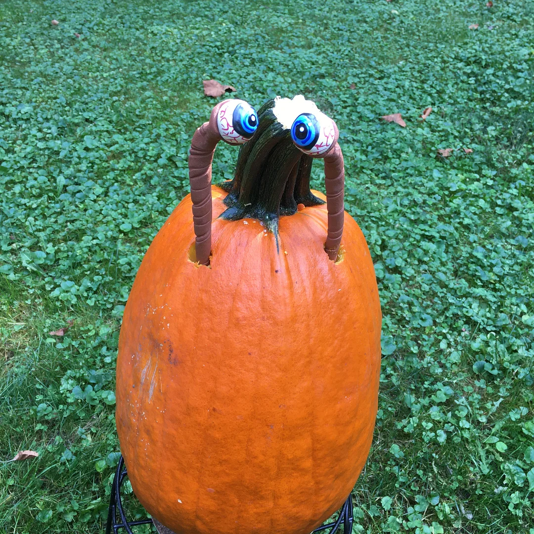 Halloween Eyeball Plant Markers