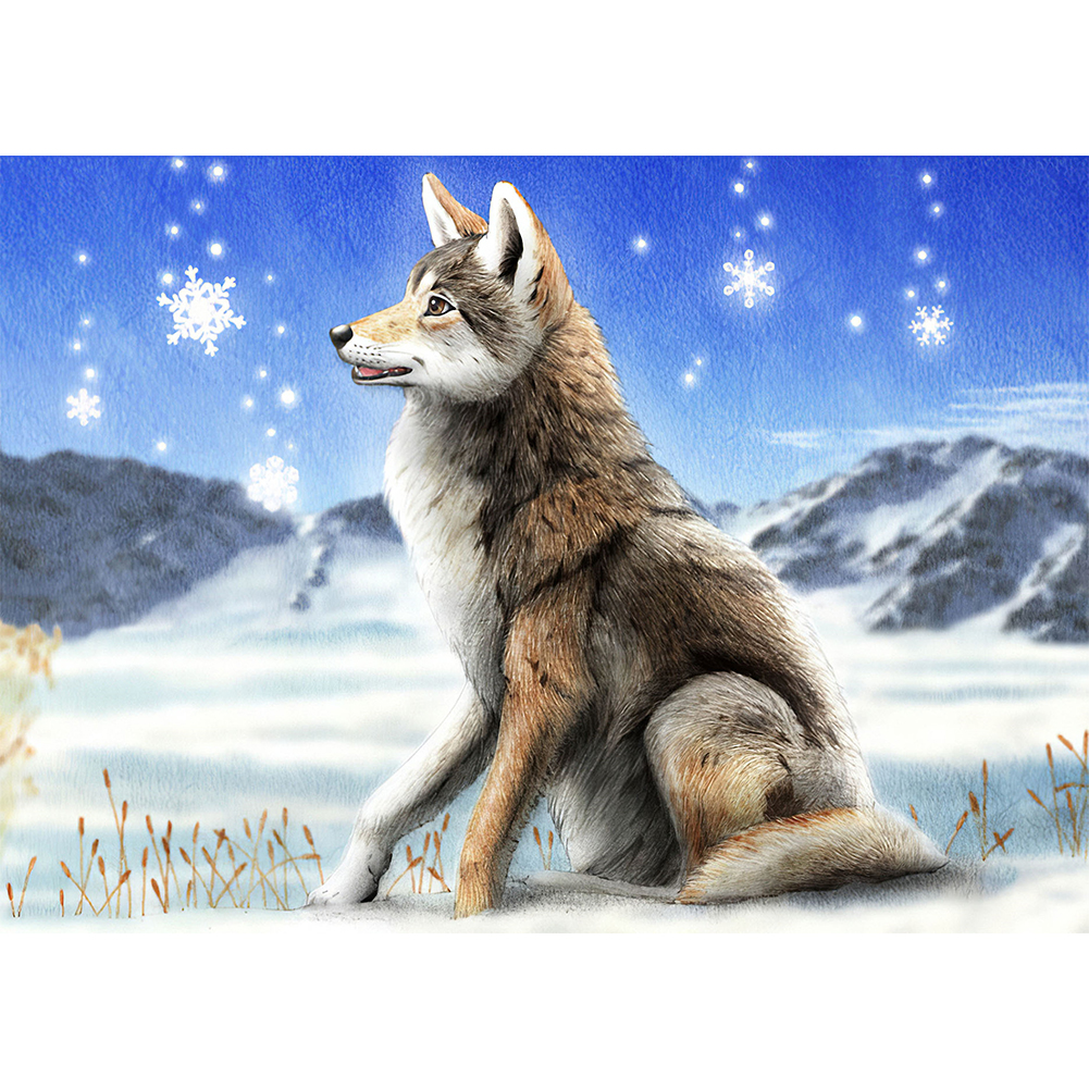 

Snow Wolf - Round Drill Diamond Painting - 40*30CM, 501 Original