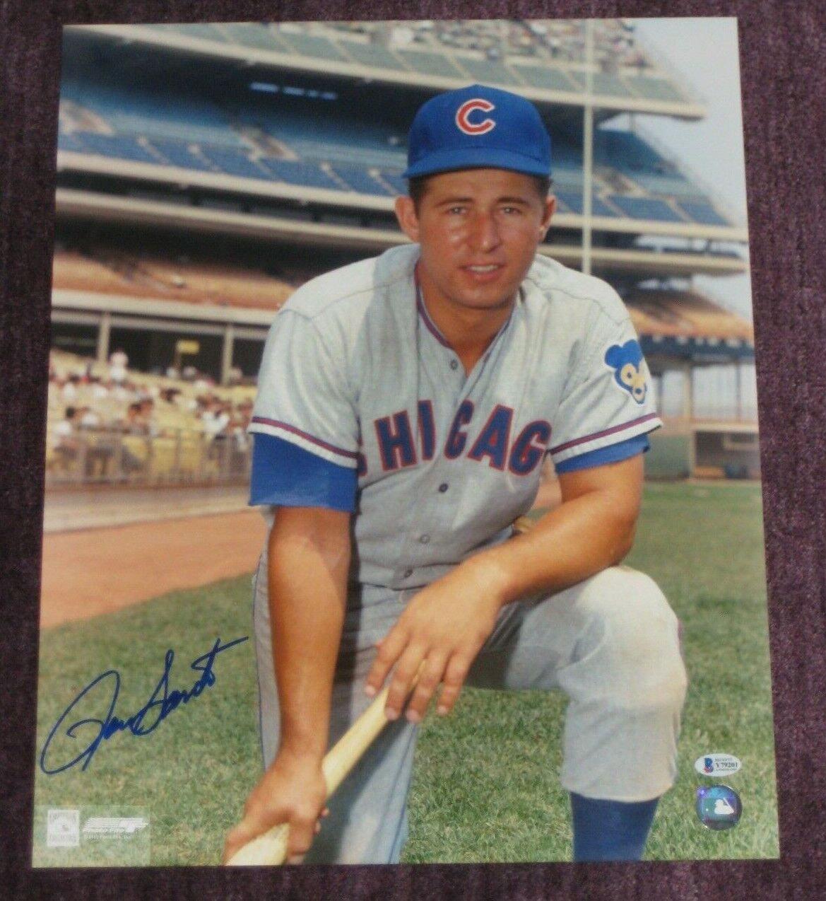 RON SANTO Signed Chicago CUBS Kneeling 16x20 Photo Poster painting w/ Beckett COA