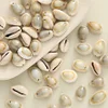 Natural Sea Shell Beads Pendants DIY Fashion Accessories