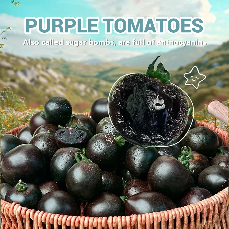 ✨Black Gem Tomato seeds