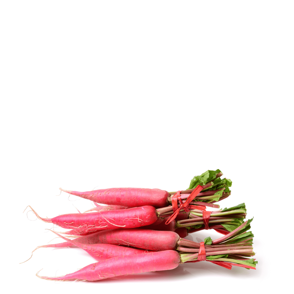 Heirloom Radish Seeds &ndash; Largo de Mallorca (Long Pink Variety)