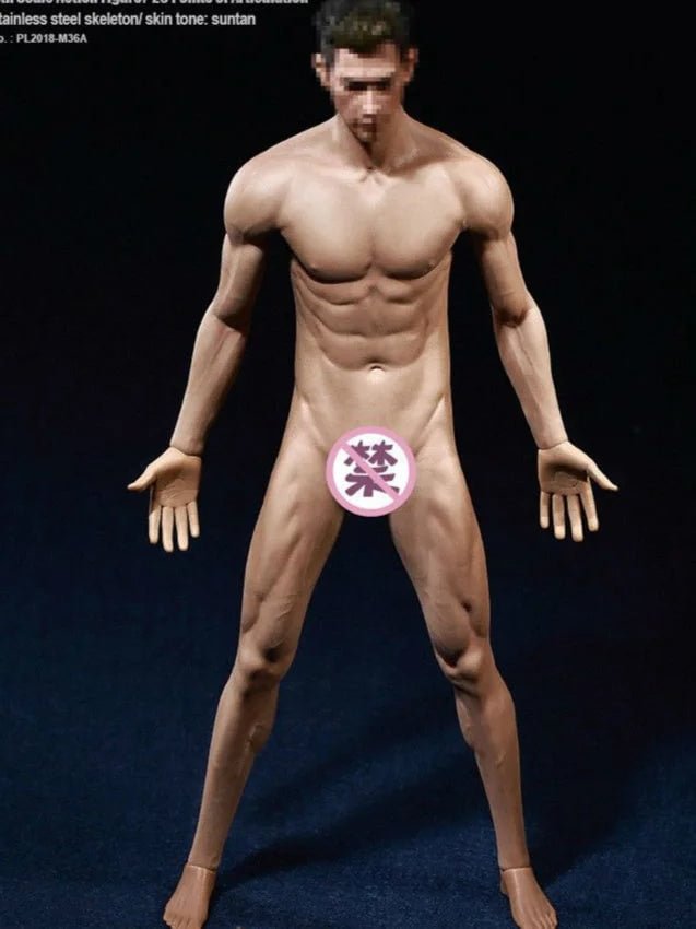 1/6 Scale M36A TBLeauge Taller Basketball Customize W/Neck 12in figure