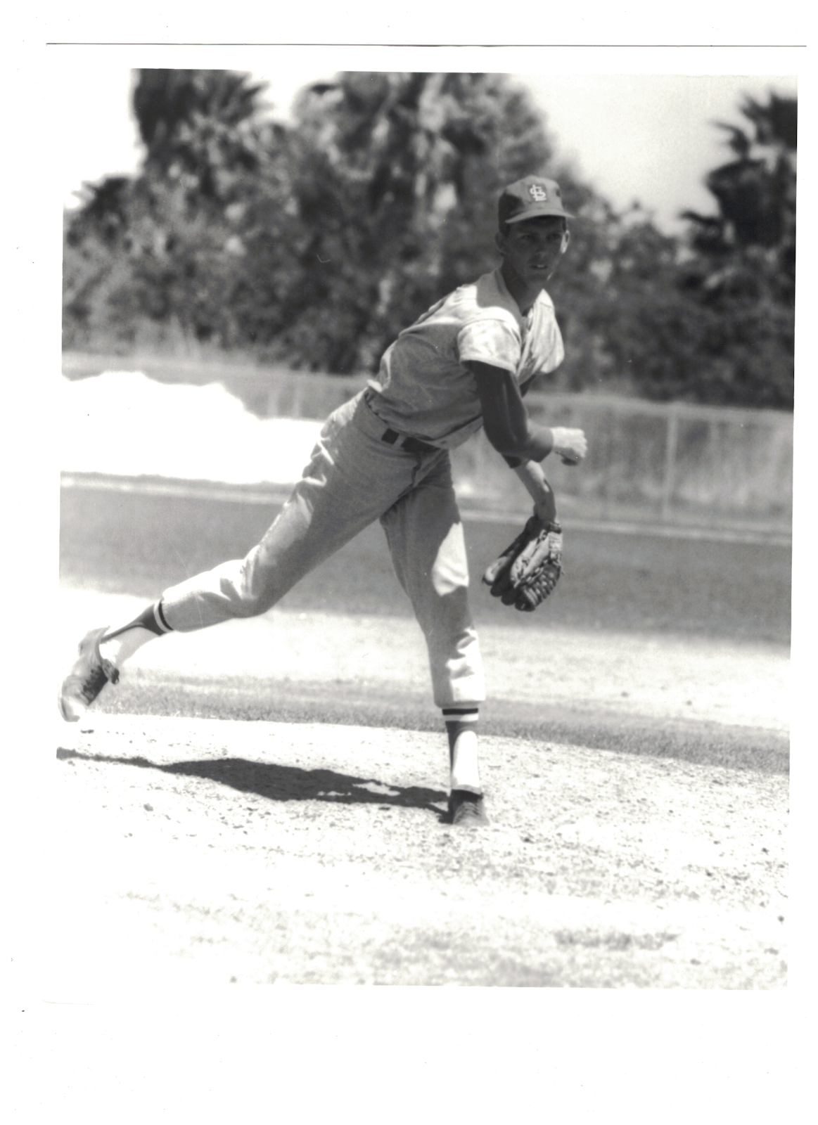 Ike Brookens St. Louis Cardinals 8x10 Vintage Baseball Photo Poster painting RH1