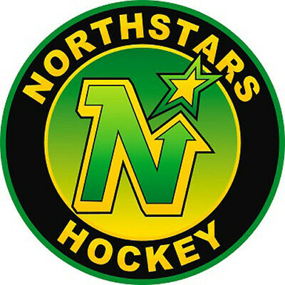

Hockey Minnesota North Stars - Round Drill Diamond Painting - 30*30CM, 501 Original