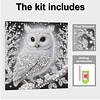 (Pre-Framed)White Owl-Special Shape Diamond Painting Kit(25x25cm)