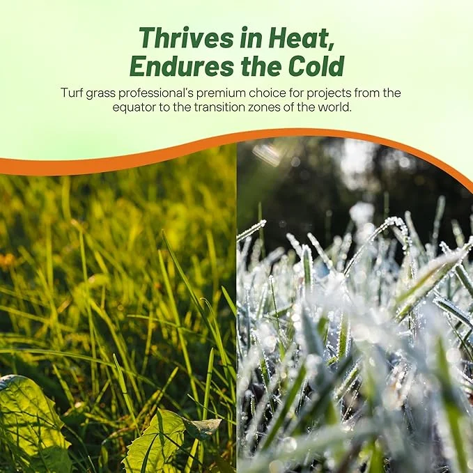 Yukon Bermuda Grass Seed