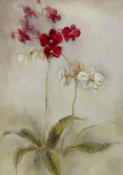 

Red and White Flowers – Paint By Numbers - 40*50CM, 501 Original
