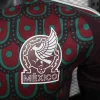 2024 Players Mexico Soccer Jersey Home