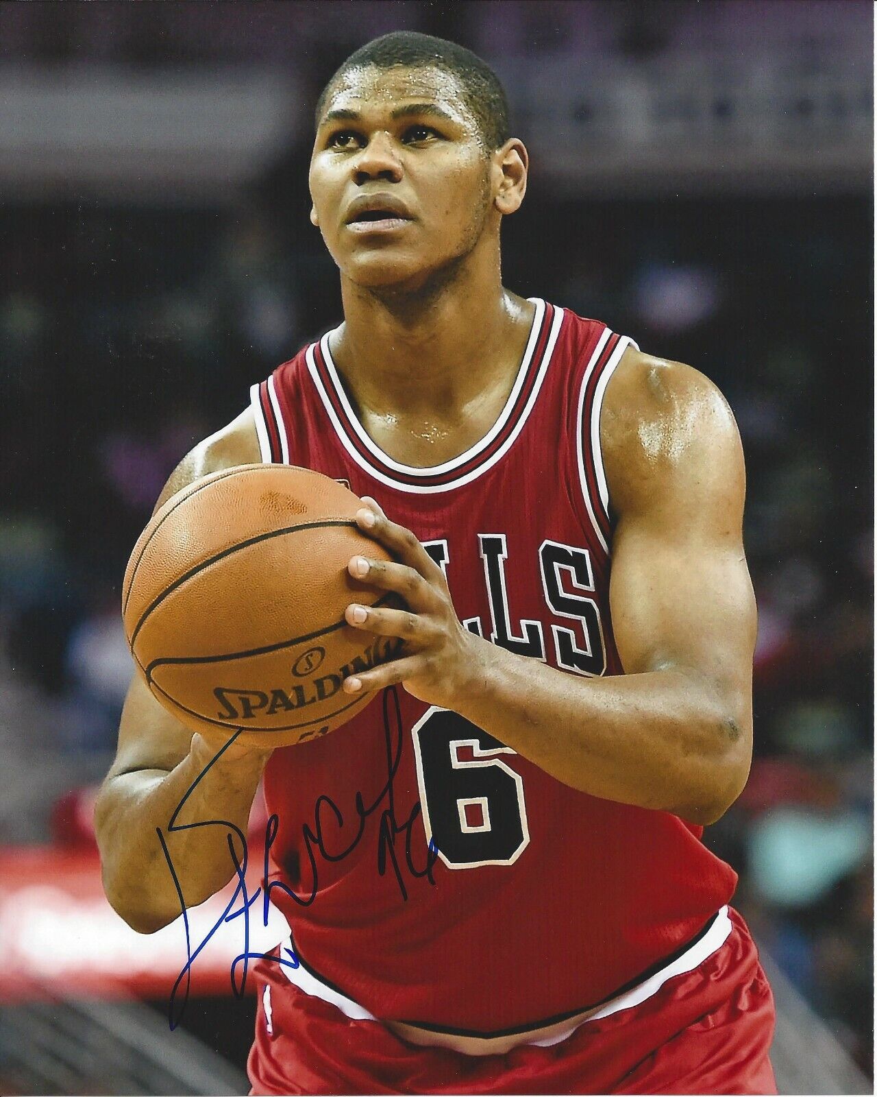 Christiano Feliciano Autographed 8x10 Chicago BullsA503