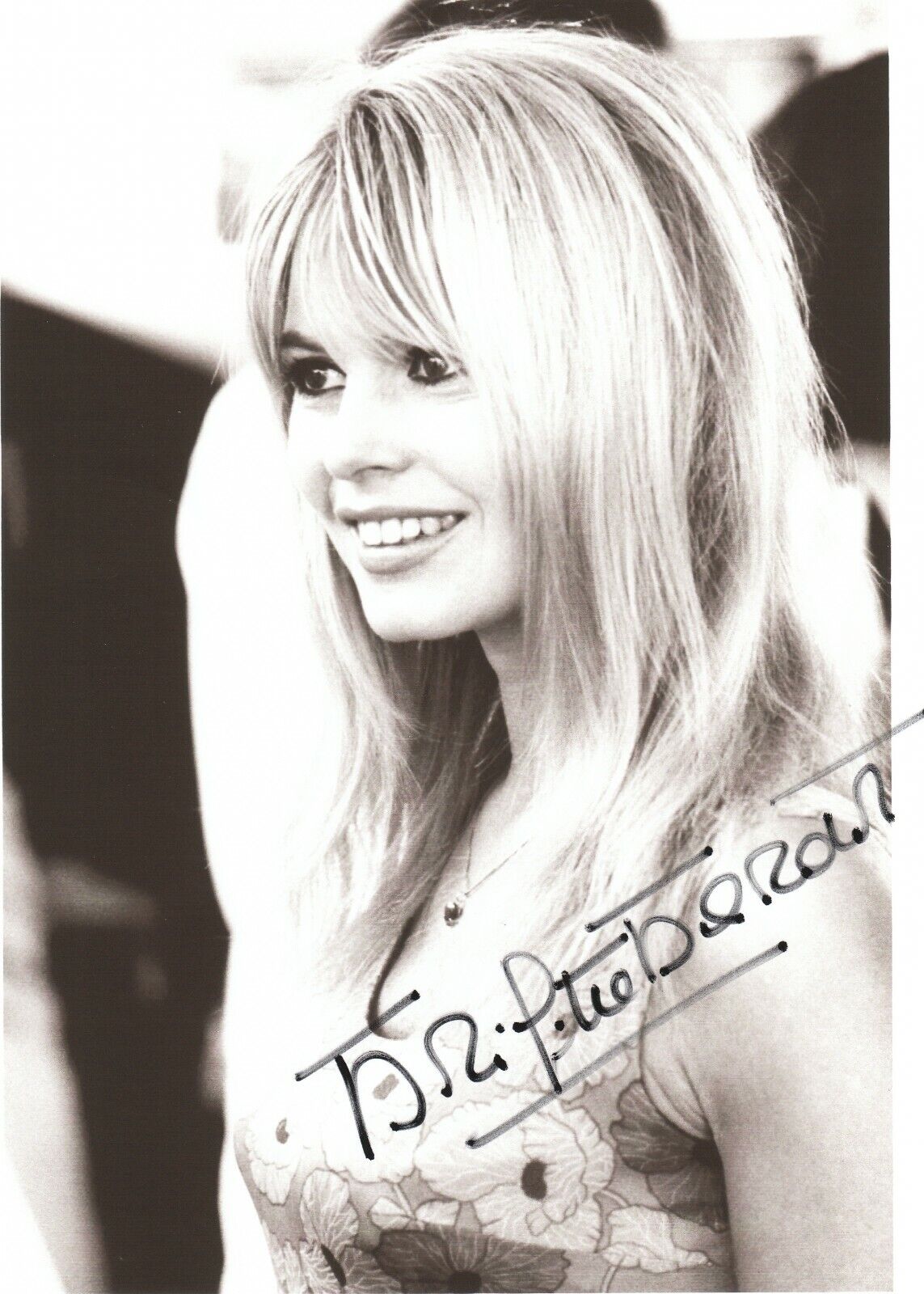 Brigitte Bardot Autographed 8x10 Photo Poster painting