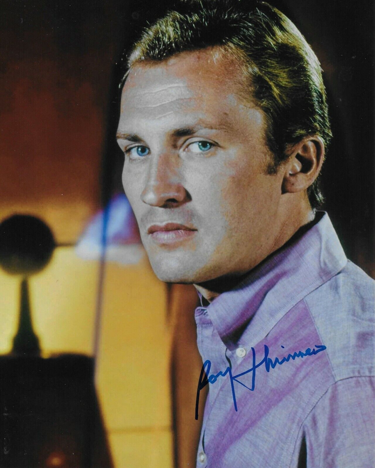 Roy Thinnes The Invaders Original Autographed 8X10 Photo Poster painting #7