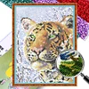 Bead Embroidery - Partial Printed 9CT Tiger(28x20 CM)