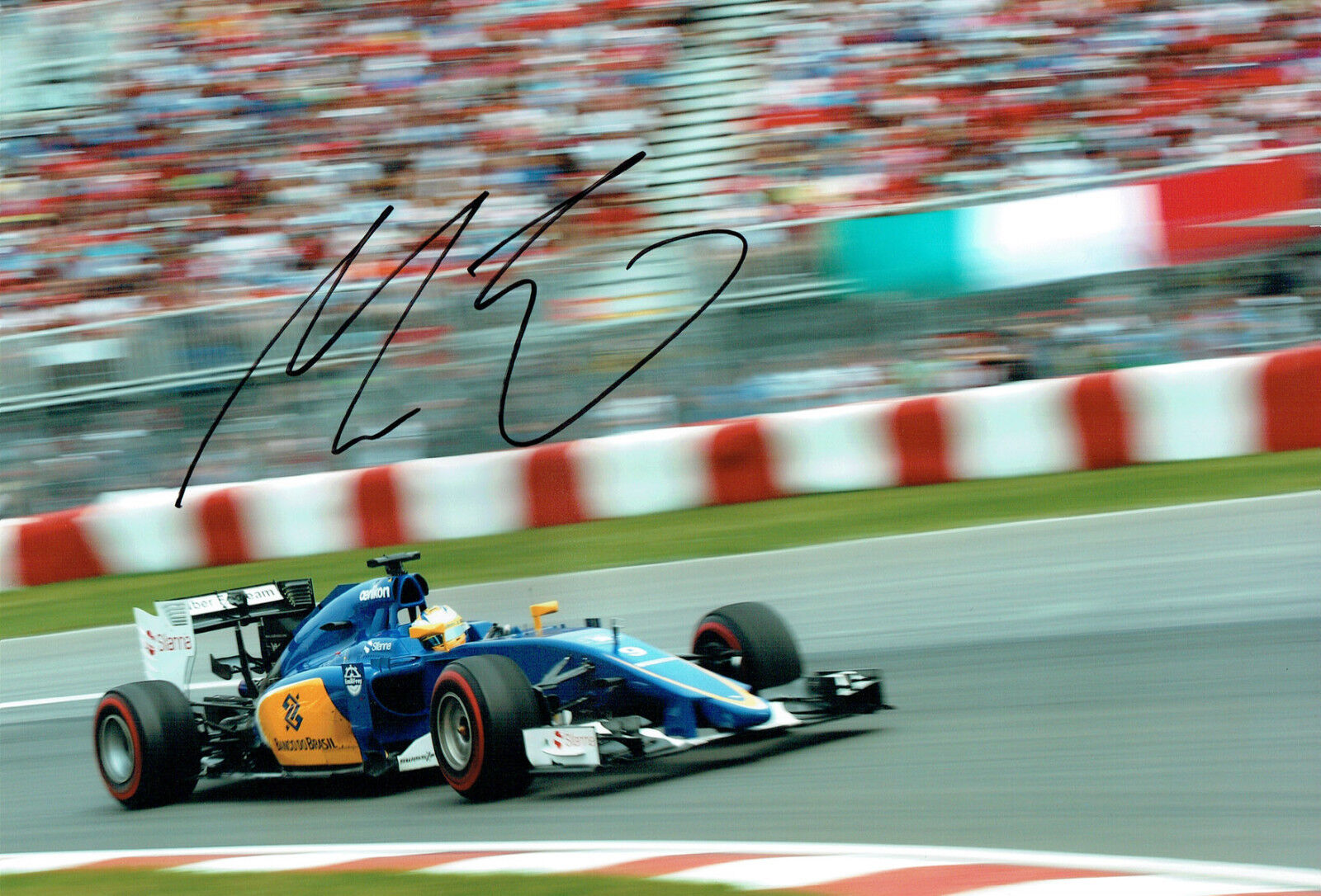 Marcus ERICSSON SIGNED Autograph 12x8 Sauber Canadian F1 GP Photo Poster painting AFTAL COA