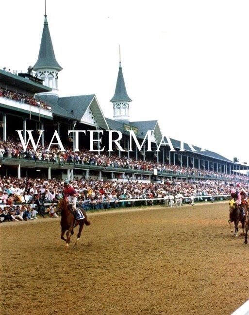 STRIKE THE GOLD 1991 Kentucky Derby Winner Horse 8 x 10 Photo Poster painting Poster