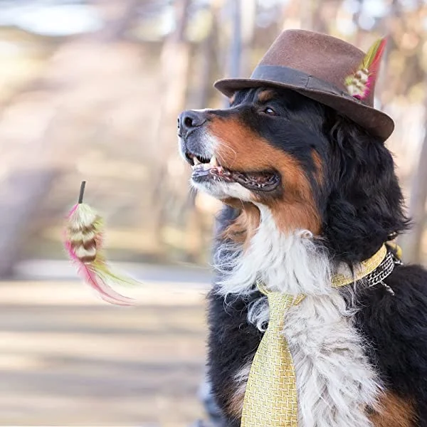 Natural Colored Feathers For Hats-3