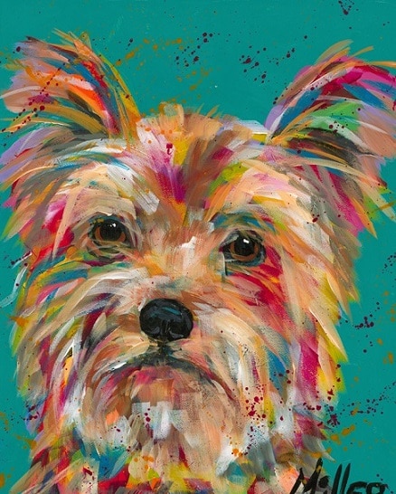 

Colorful Yorkie Dog – Paint By Numbers - 40*50CM, 501 Original
