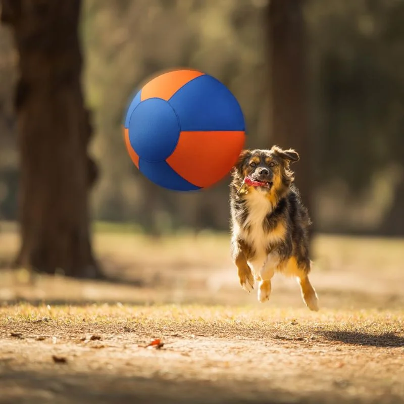 Pet Teeth Grinding Inflatable Training Ball