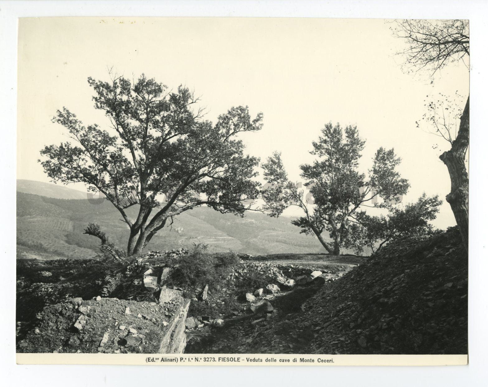 Monte Ceceri - Vintage 8x10 Publication Photo Poster paintinggraph - Florence, Italy