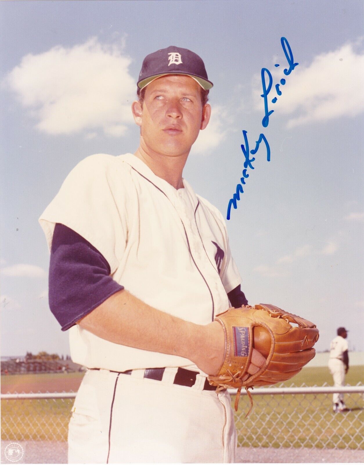 MICKEY LOLICH DETROIT TIGERS ACTION SIGNED 8x10