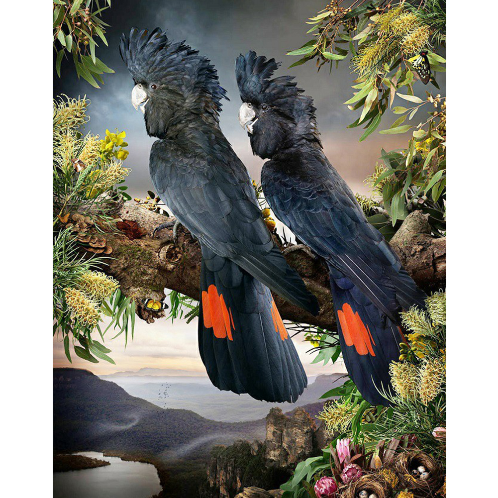 

30*40CM - Round Drill Diamond Painting - Crow, 501 Original