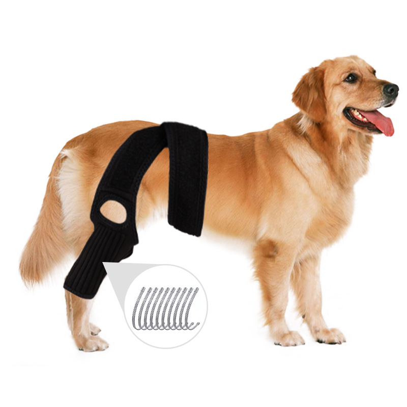 Dog knee brace