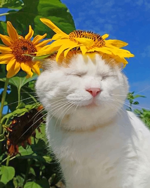 

Cat With Sun Flowers – Paint By Numbers - 40*50CM, 501 Original
