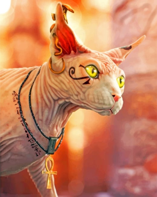 

Aesthetic Egyptian Cat – Paint By Numbers - 40*50CM, 501 Original