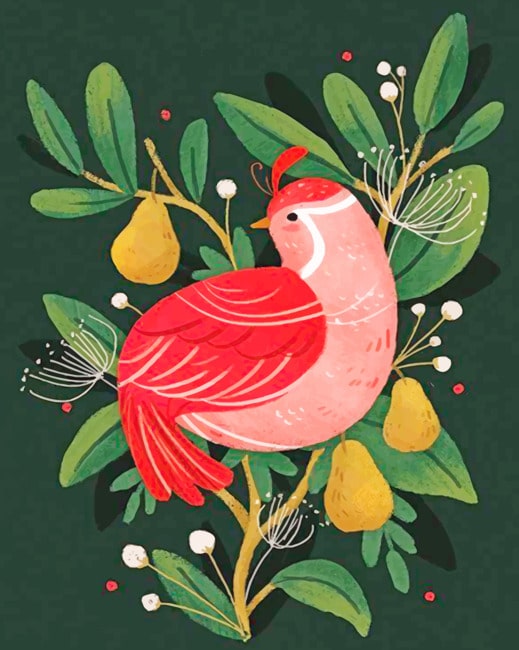 

Red Bird – Illustration Paint By Numbers - 40*50CM, 501 Original