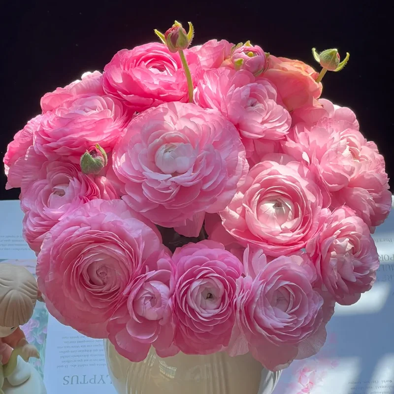 🌺 Ranunculus - Sacred Love